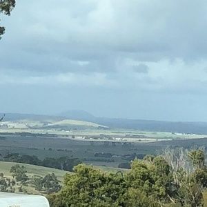 Meet your Posher, Bonnie